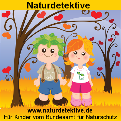 Naturdetektive - Kinderseite des Bundesamtes für Naturschutz